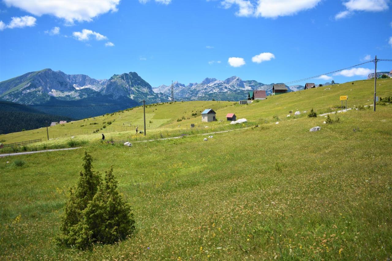 Durmitor View Villa Žabljak Екстериор снимка